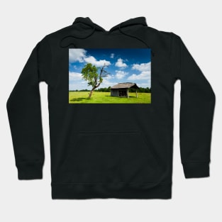 Wooden cabin and tree Hoodie